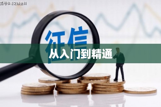 茶山从入门到精通