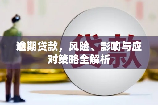 茶山逾期贷款，风险、影响与应对策略全解析