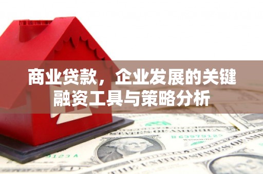 茶山商业贷款，企业发展的关键融资工具与策略分析