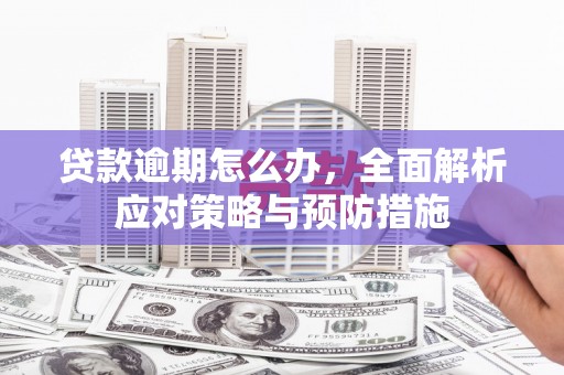 茶山贷款逾期怎么办，全面解析应对策略与预防措施