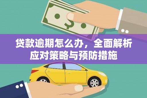 茶山贷款逾期怎么办，全面解析应对策略与预防措施
