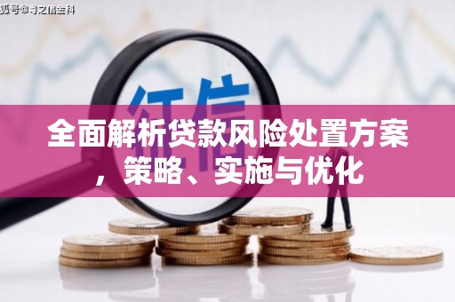 茶山全面解析贷款风险处置方案，策略、实施与优化