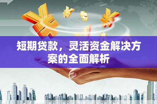 茶山短期贷款，灵活资金解决方案的全面解析