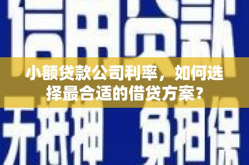 茶山小额贷款公司利率，如何选择最合适的借贷方案？