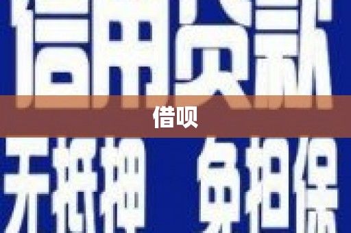 茶山借呗