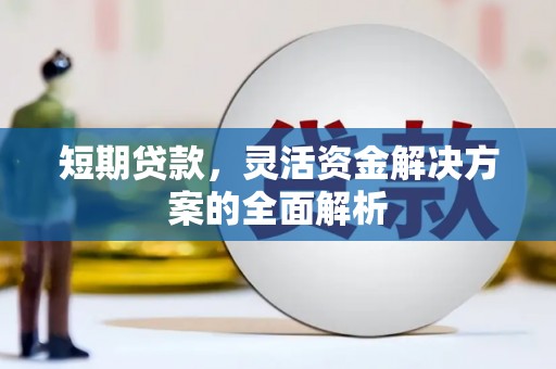 茶山短期贷款，灵活资金解决方案的全面解析