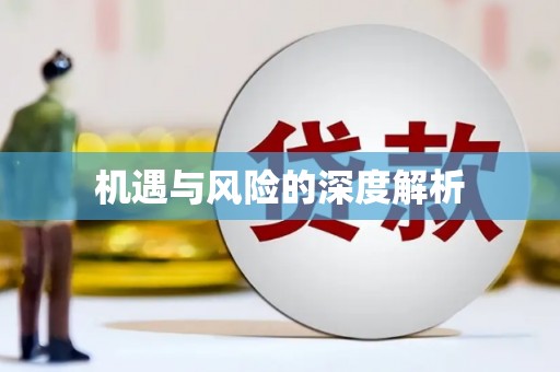 茶山机遇与风险的深度解析