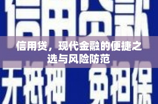 茶山信用贷，现代金融的便捷之选与风险防范