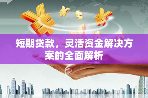 茶山短期贷款，灵活资金解决方案的全面解析