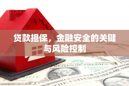 茶山贷款担保，金融安全的关键与风险控制