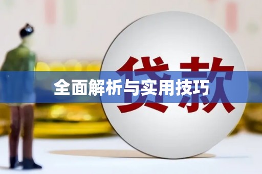 茶山全面解析与实用技巧