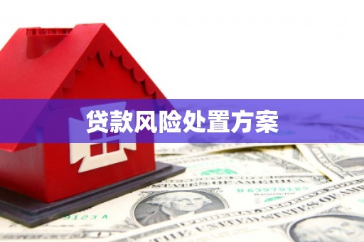茶山贷款风险处置方案