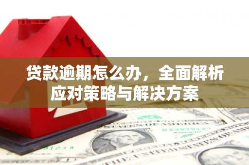 茶山贷款逾期怎么办，全面解析应对策略与解决方案