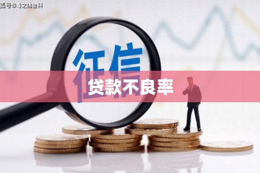 茶山贷款不良率
