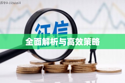 茶山全面解析与高效策略