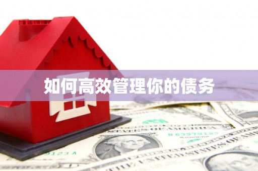 茶山如何高效管理你的债务
