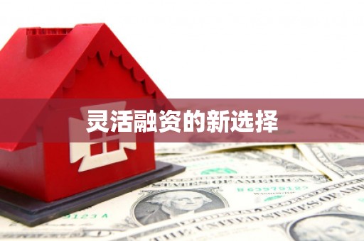 茶山灵活融资的新选择