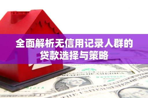 茶山全面解析无信用记录人群的贷款选择与策略