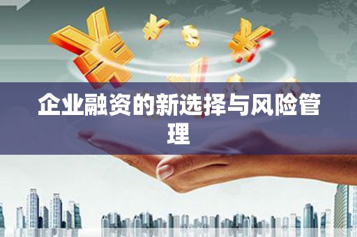 茶山企业融资的新选择与风险管理
