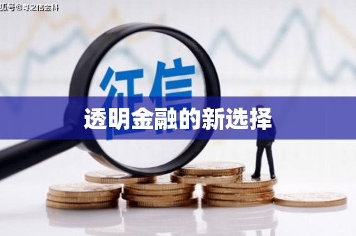 茶山透明金融的新选择