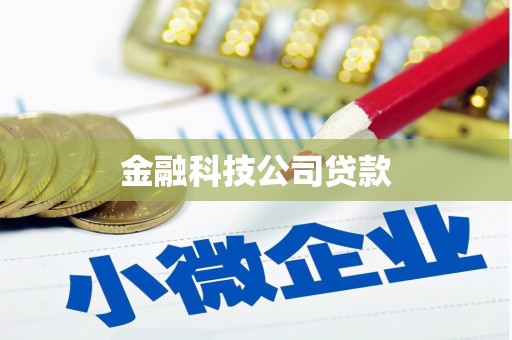 茶山金融科技公司贷款