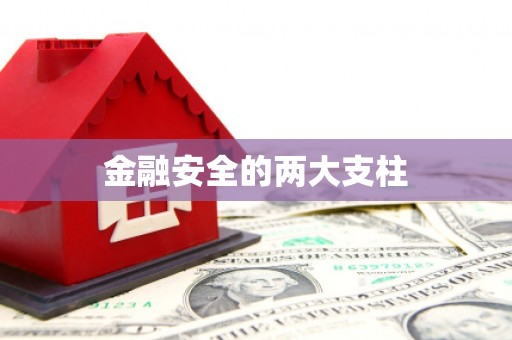 茶山金融安全的两大支柱