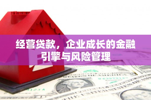 茶山经营贷款，企业成长的金融引擎与风险管理