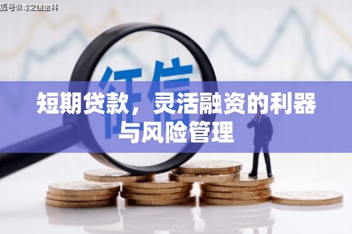 茶山短期贷款，灵活融资的利器与风险管理