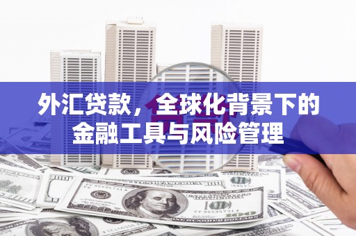 茶山外汇贷款，全球化背景下的金融工具与风险管理