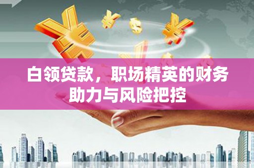 茶山白领贷款，职场精英的财务助力与风险把控